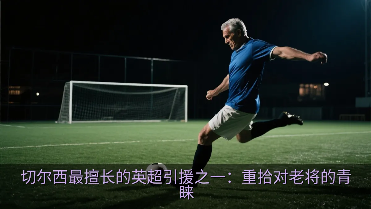切尔西最擅长的英超引援之一：重拾对老将的青睐